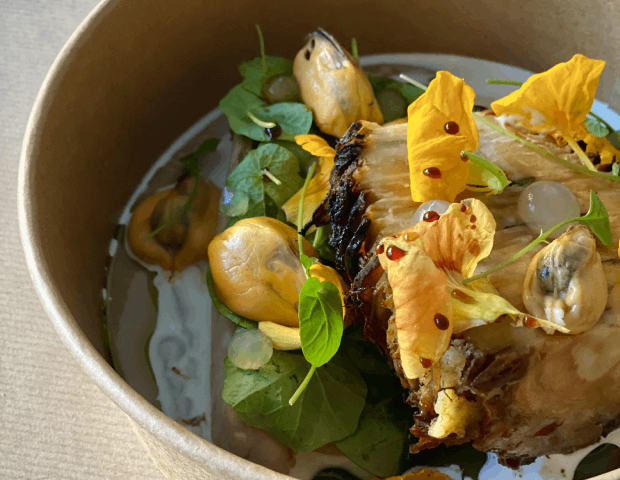 Pêche de nos côtes, légumes Bio de saison