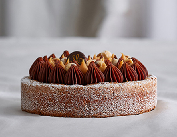 Moist Choco Hazelnut Cake 6P